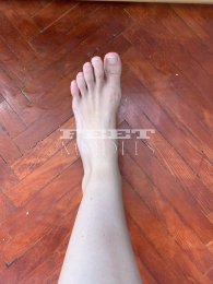 Feet model