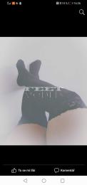 Feet model