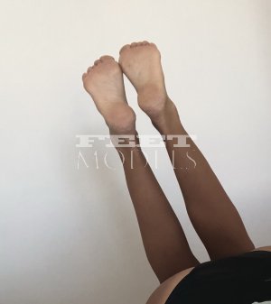 Feet model