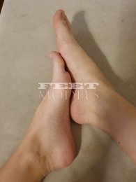 Feet model