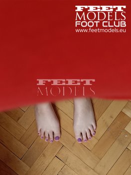 Feet model
