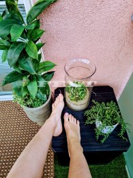 Feet model