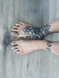 Feet model