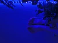 25-IMG_20250725_203035414_HDR