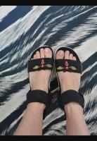 283-Screenshot_20240401_110159