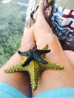 654-CCB61C79-0A5C-4051-8839-6570D4C16DAB